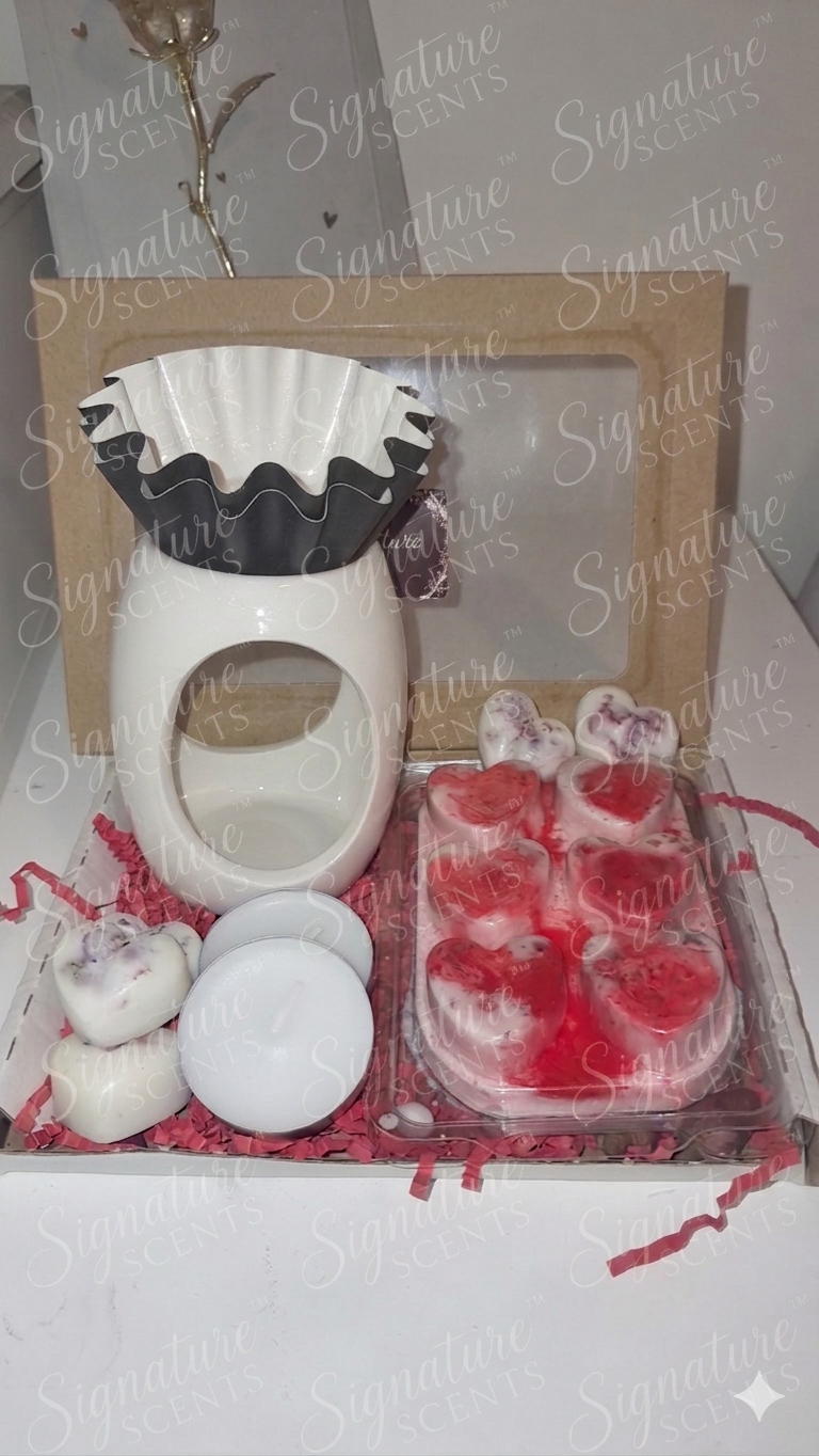 Wax melt starter bundle
