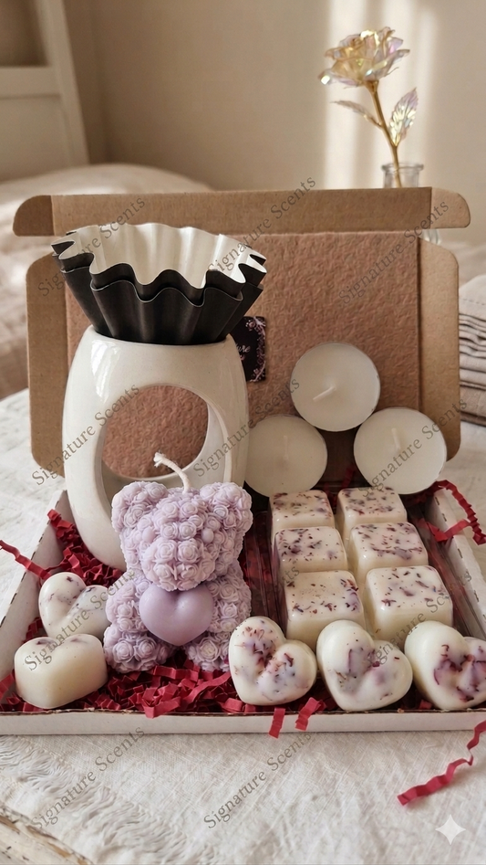 Wax melt starter bundle