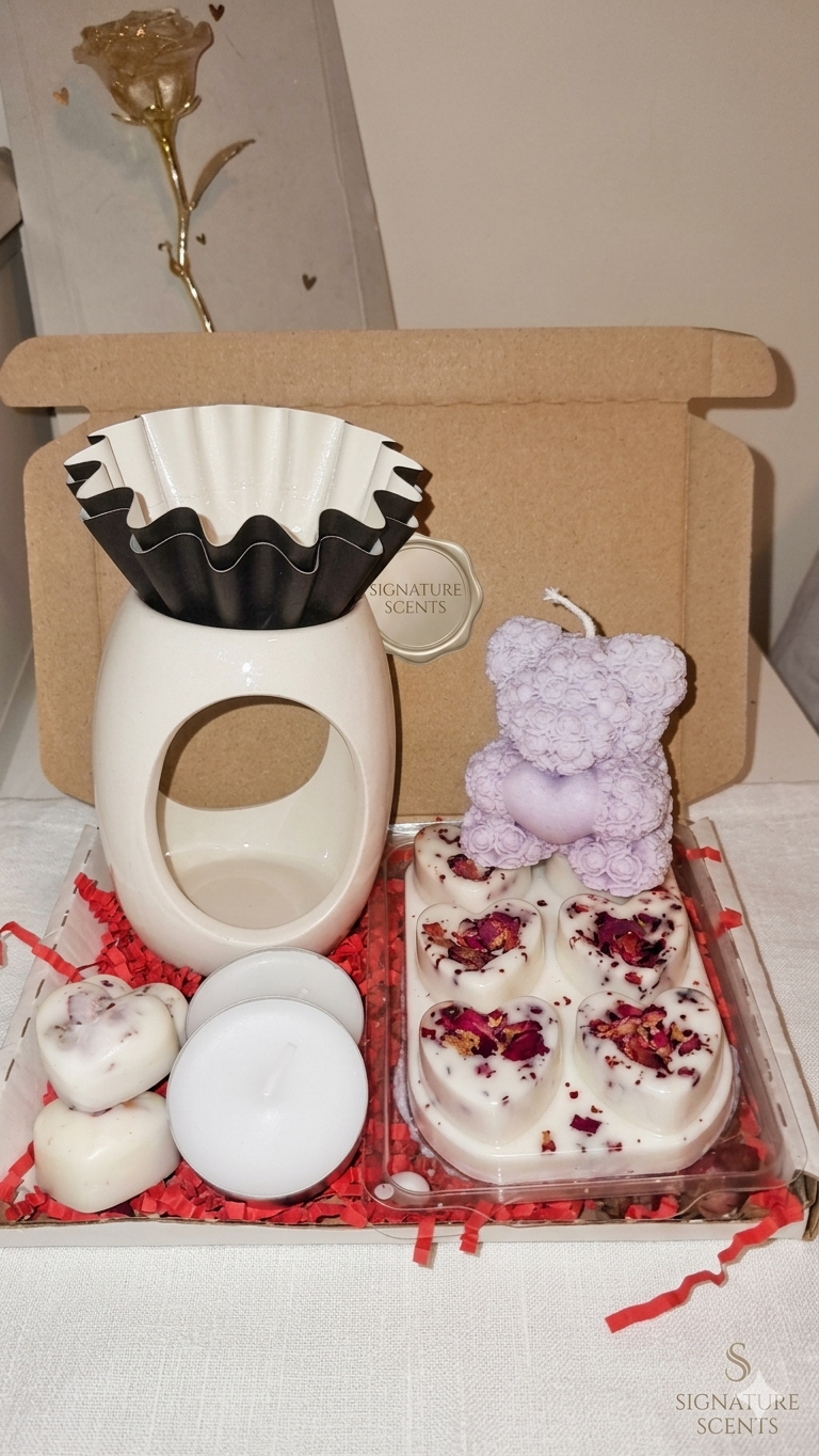 Wax melt starter bundle