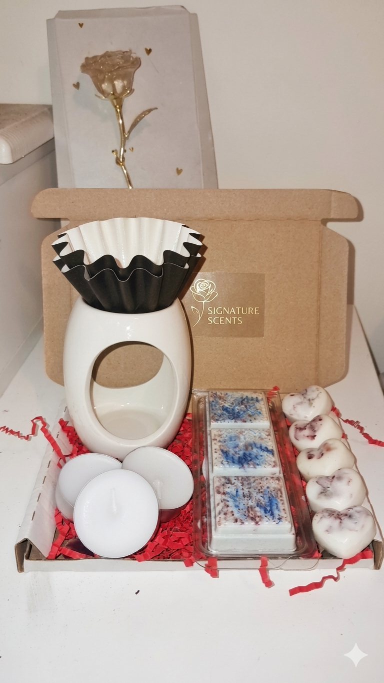 Wax melt starter bundle